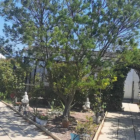 Cathares Holidays 4*